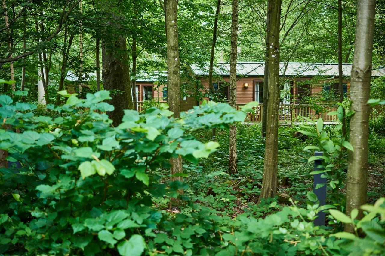 Disney Davy Crockett Ranch Villeneuve-le-Comte Esterno foto